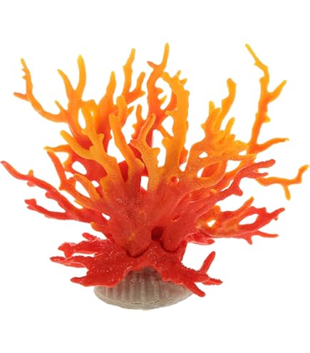 Amazon.co.jp: 24 A サンゴ 珊瑚 置物 飾りサンゴ 飾り 欠片